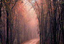 爱游戏：布拉德利：输给热刺3天后希望重回胜利之路，足总杯对手将迎来重要时刻.