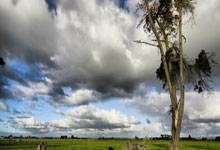 鬼才!范加尔为国家队聘请排球教练: 训练守门员扑点.