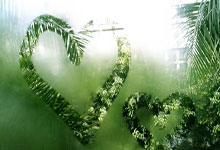 爱游戏：因手术赛季报销，迪巴拉：我将伤缺一段时间，会继续支持队友.