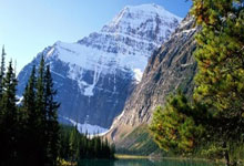 鬼才!范加尔为国家队聘请排球教练： 训练守门员扑点.