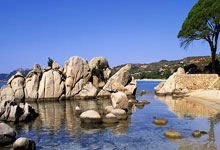 爱游戏：[德甲]奥利塞右路送助攻 穆西亚拉包抄破门.